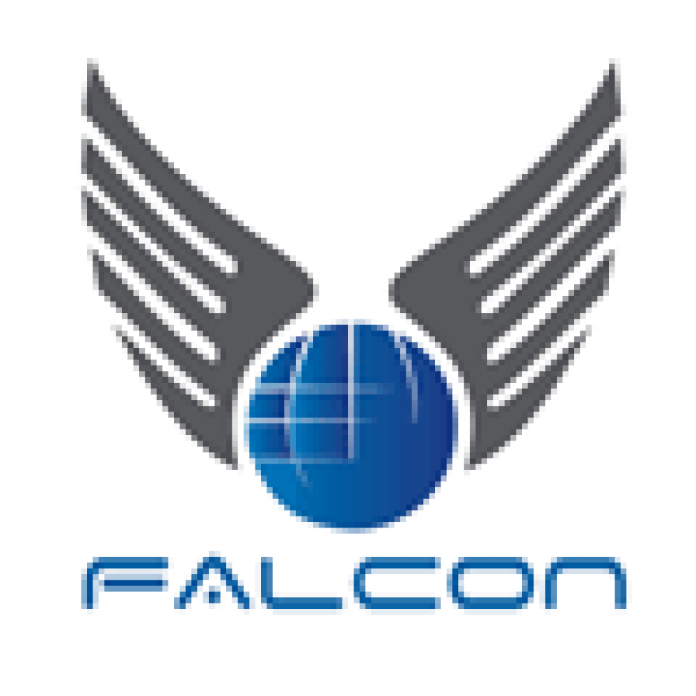 Falcon India