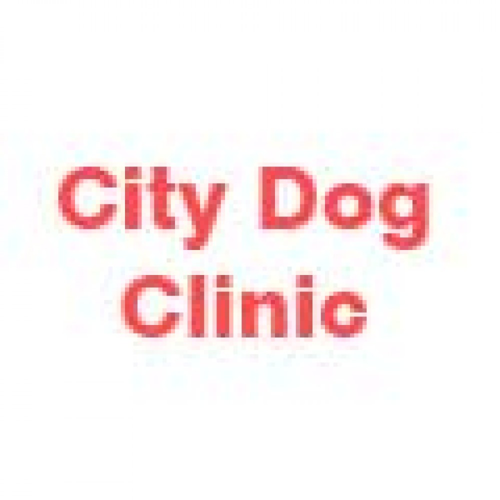 City Dog Clinic