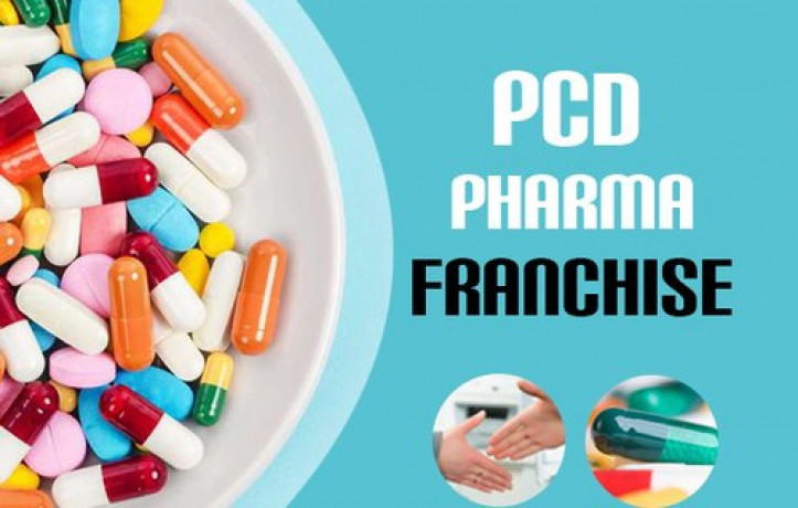 Top PCD Franchise Company 1