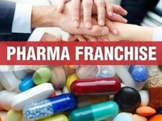 Panchkula Based Pharma Franchise Company