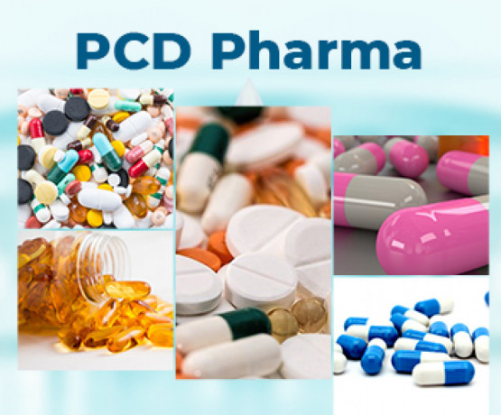 Top PCD Franchise Company in Haryana 1