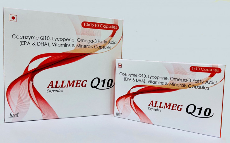 ALLMEG-Q10 CAPSULE 1