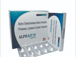 Alpha galactosidase lipase alpha amylase protease , lactase & Lipase capsules