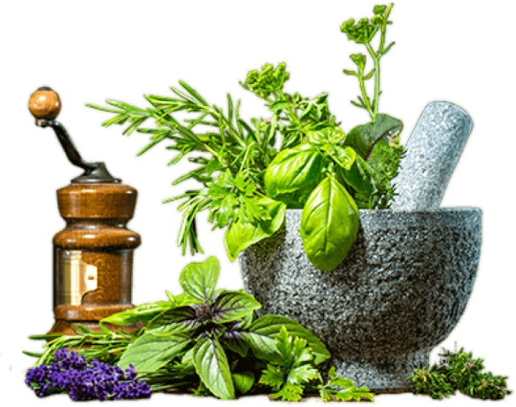 Ayurvedic Products Manufacturers in Haryana 1