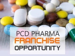 Top PCD Pharma Distributors in Haryana