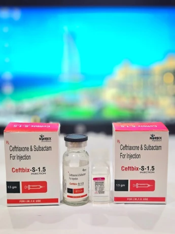 CEFTRIAXONE & SULBACTAM FOR INJECTION 1