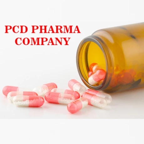 Top PCD Franchise Company 1