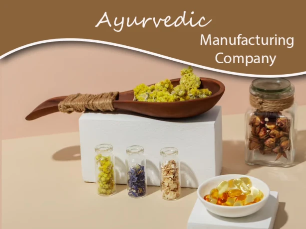 Ayurvedic Third Party Manufacturing company 1