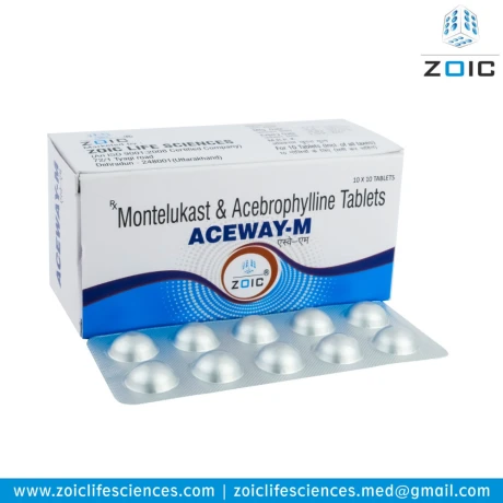 Montelukast Acebrophylline Tablet 1