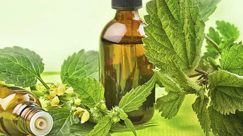 Ayurvedic Pain Oil Manufacturing Company 1