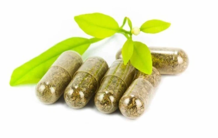 Ayurvedic Capsules Manufacturing Company 1