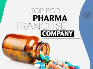 PG Based Pharma Franchise Company