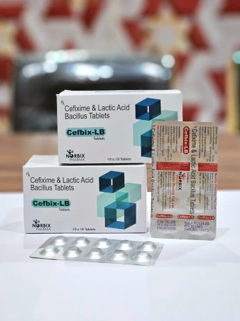 CEFIXIME & LACTIC ACID BACILLUS TABLETS 1