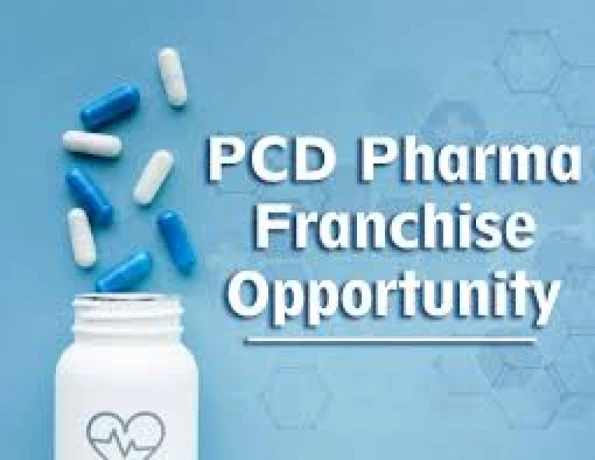 PG Based Pharma Franchise Company 1