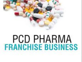 PG Based Pharma Franchise Company