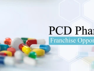 Top PCD Franchise Company in Chandigarh