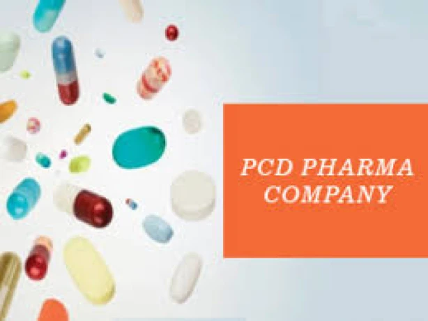 PG Based Pharma Franchise Company 1