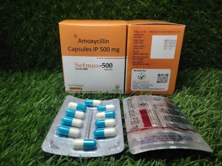 Amoxycillin capsules ip 500 mg