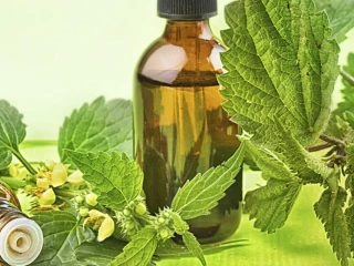 Ayurvedic Pain Oil Manufacturing Company