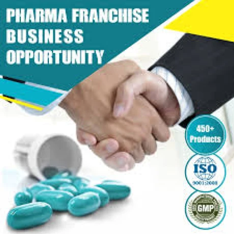 Top PCD Pharma Company in Rajasthan 1