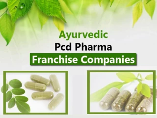 Ayurvedic Medicine Franchise Company