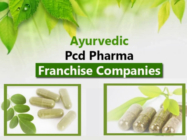 Ayurvedic Medicine Franchise Company 1