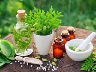 Ayurvedic Pain Oil Manufacturing Company