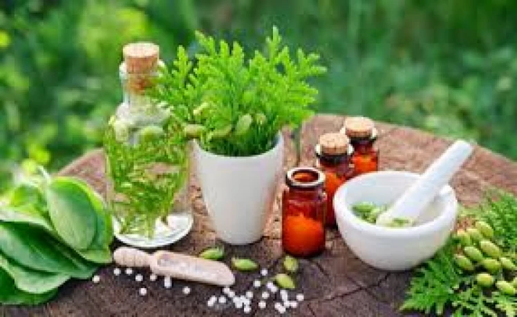 Ayurvedic Pain Oil Manufacturing Company 1