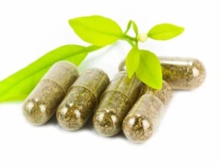 Ayurvedic Capsules Manufacturers