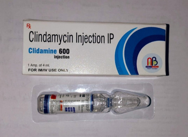 Cirital Care Injections Pharma franchise for bareilly 4