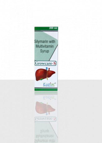 Silymarin Multivitamin Syrup 1