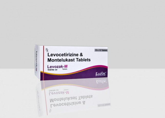 Montelukast & Levocetirizine Dihydrochloride 1