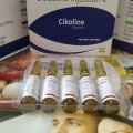 Ceftriaxone inj. , Citicoline , Methycobalamin , D- Panthenol inj. 5