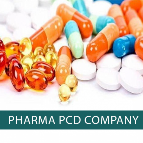 Pharma PCD Company in Himachal Pradesh 1