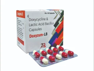 Doxycyline 100 mg Lactic Acid Bacillus 5 Billion Spores Excipients q.s