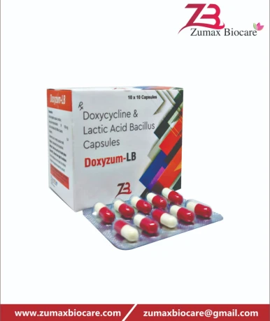 Doxycyline 100 mg Lactic Acid Bacillus 5 Billion Spores Excipients q.s 1