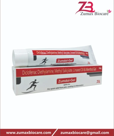 Diclofenac Diethylamine Linseed Oil Methyl Salicylate Menthol Gel 1