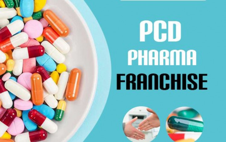 PCD Franchise Company in Gujarat 1