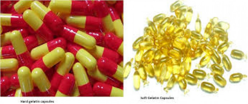 Hard and Soft Gel Capsules Manufacturing Company 1